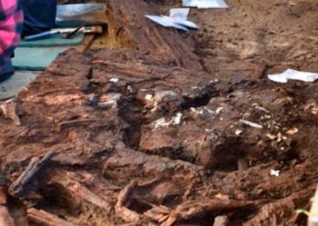 کشف استخوان‌های ۱۰هزار ساله در آلمان