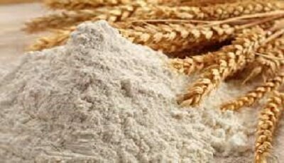 سیاست‌های تشویقی برای کشت قراردادی گندم در فارس اعمال می‌شود
