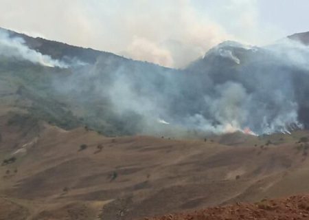 احتمال افزایش میزان آتش‌سوزی مرتعی و جنگلی در فارس