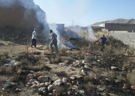 مهار آتش‌سوزی در پارک ملی بمو