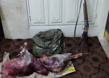 شکارچیان در بوانات دستگیر شدند