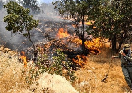 آتش ۶۰ هکتار مراتع فیروزآباد را خاکستر کرد
