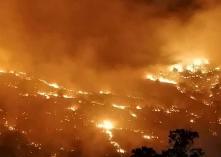 فراخوان بسیج همگانی مهار آتش‌سوزی منابع طبیعی در فارس