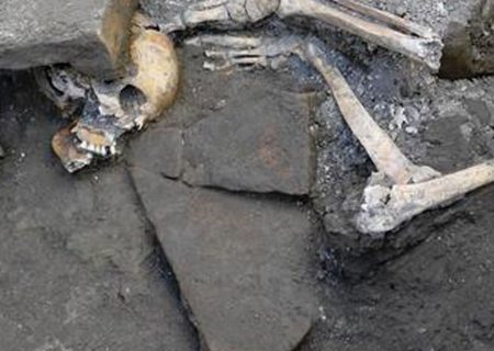 رد پای نیکان ایرانی در دی‌ان‌ای یک قربانی شهر باستانی پمپئی