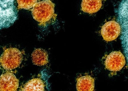 «محقق چینی نمونه‌های نخستین ویروس کرونا در ووهان را از پایگاه داده آمریکا حذف کرده است»