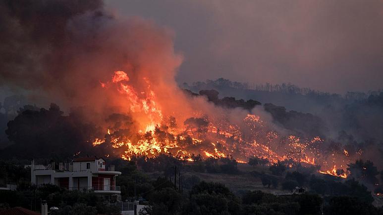 نزدیک به ۳ میلیارد حیوان در آتش‌ سوزی‌های استرالیا کشته یا آواره شدند