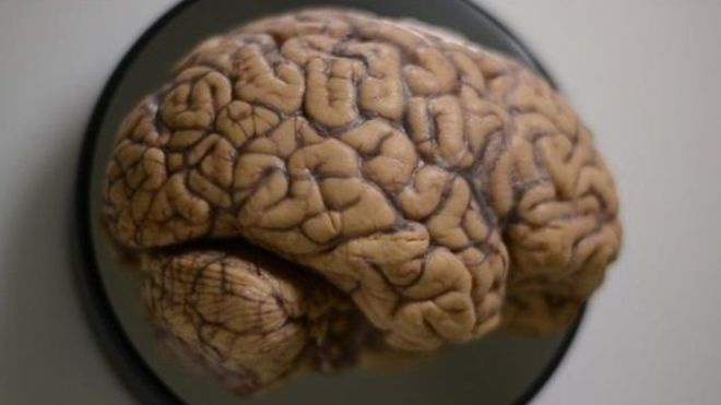 کشف شگفت‌انگیز نحوه حفظ خاطره در مغز