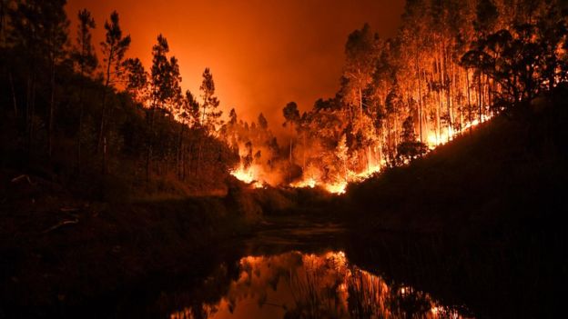آتش‌سوزی وسیع جان ده‌ها نفر را در پرتغال گرفت