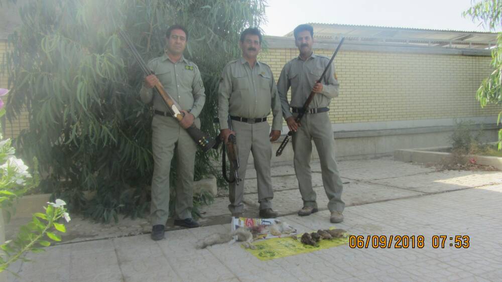 بازداشت دو شکارچی در قیروکارزین فارس