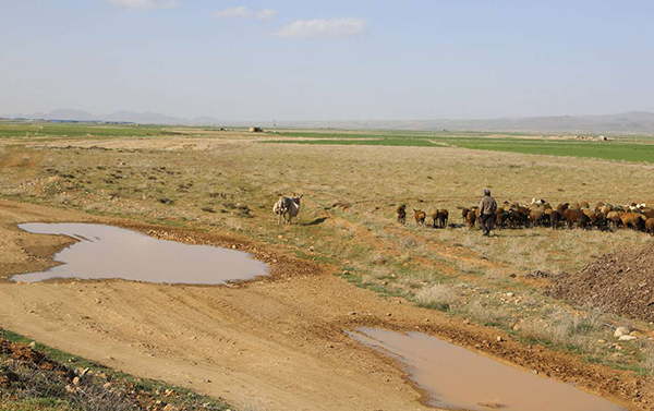قصه پر غُصه حفاظت از منابع آب استان فارس و هزار راه نرفته