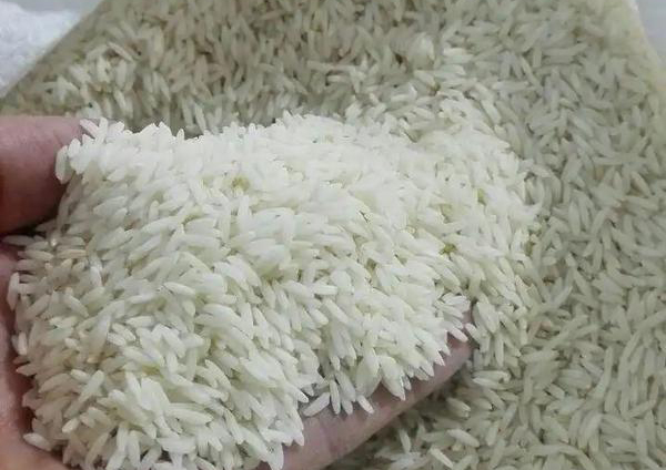 کشف برنج خارجی با پودر برنج محلی در شیراز