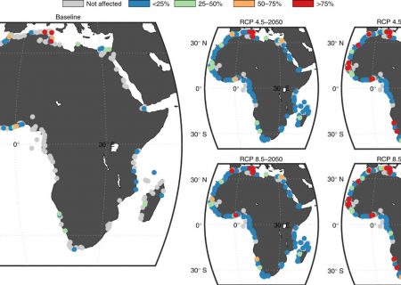 خطر غرق شدن در کمین ۲۰۰ محوطه باستانی آفریقا