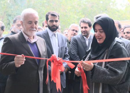 دبیرخانه مرکزی «شیراز شهرجهانی صنایع‌دستی» افتتاح شد