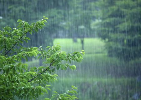 افزایش ۷ درصدی بارندگی فارس در سال زراعی جاری
