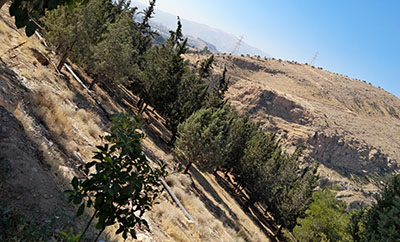 ساماندهی محور گردشگری شمال شیراز با ایجاد بوستان تفریحی-ورزشی-جنگلی کوه نور
