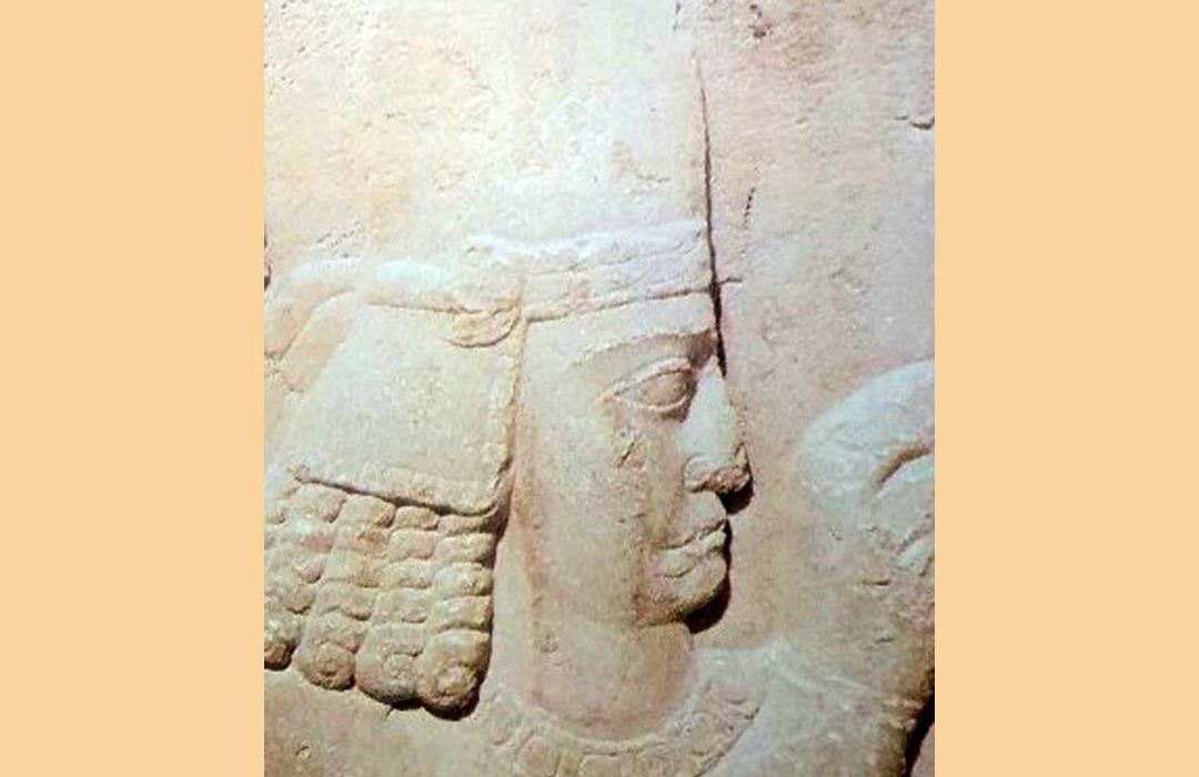 نقش کرتیر در خاندان ساسانی