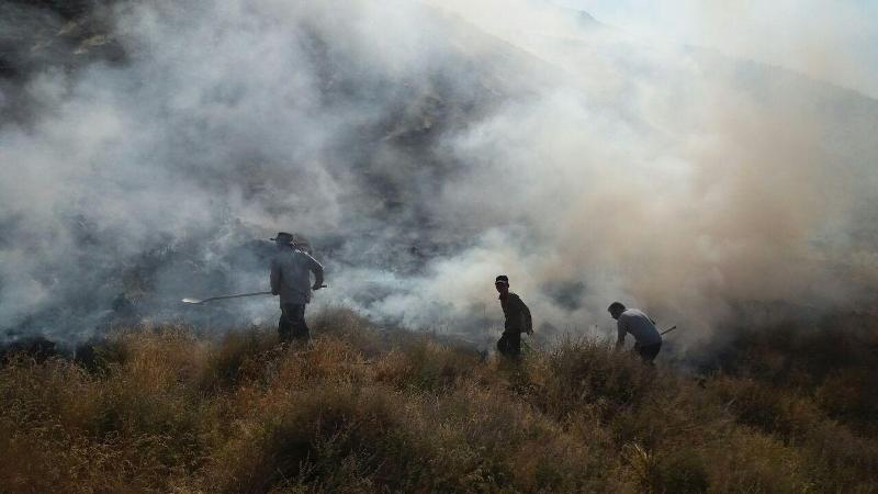 امسال ۱۲۰ آتش سوزی در جنگل‌های فارس رخ داده