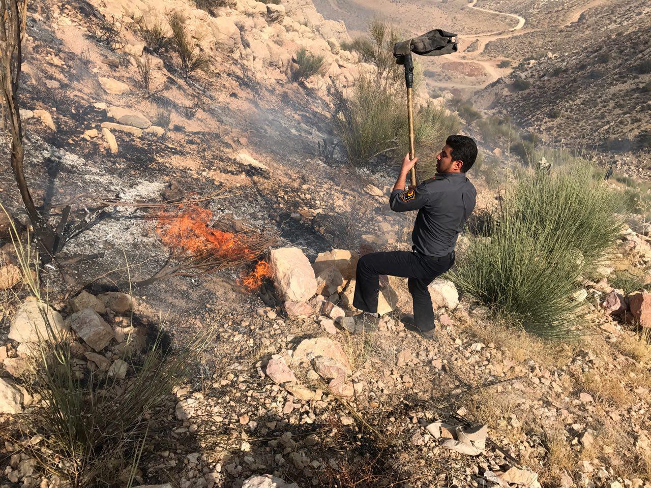 تجهیزات در شیراز نبود، آتش‌سوزی کوه دراک را این‌طور خاموش کردند