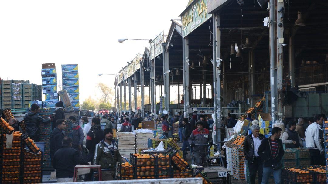 تکذیب حضور تاجران عراقی در میدان میوه و تره بار شیراز