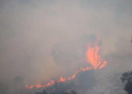 مقام سازمان جنگل‌ها: آتش‌سوزی یکی از پنج عامل اصلی تخریب سالانه ۱۲ هزار هکتار از جنگل‌های ایران است