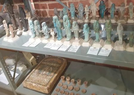 موزه غرب برکشایر مجموعه حیوانات مصر باستان را رونمایی کرد