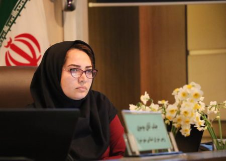 عضو شورای شهر شیراز: رسانه حرفه‌ای به اخلاق پایبند است