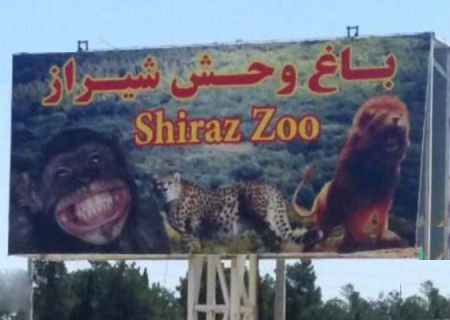 واکنش محیط زیست فارس به شیرآزاری در باغ وحش شیراز