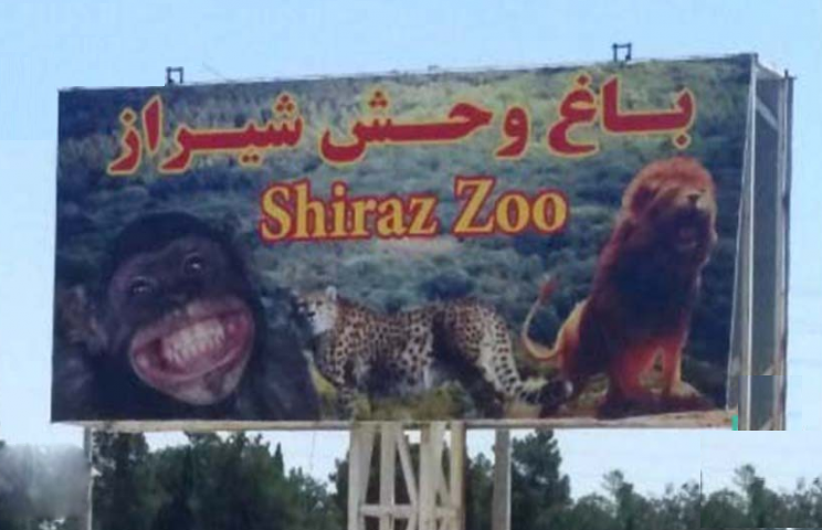 واکنش محیط زیست فارس به شیرآزاری در باغ وحش شیراز