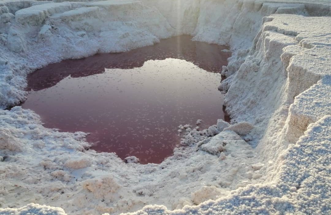 مهارلو؛ آلوده‌ترین دریاچه فارس به دلیل ورود آلاینده‌هاى متعدد
